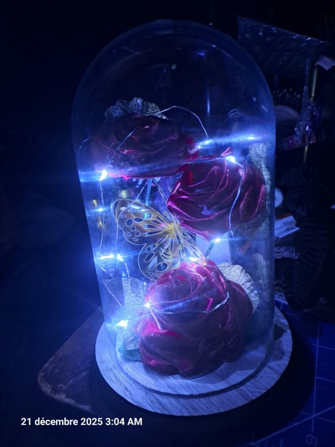 Globe Lumineux Rose éternelle